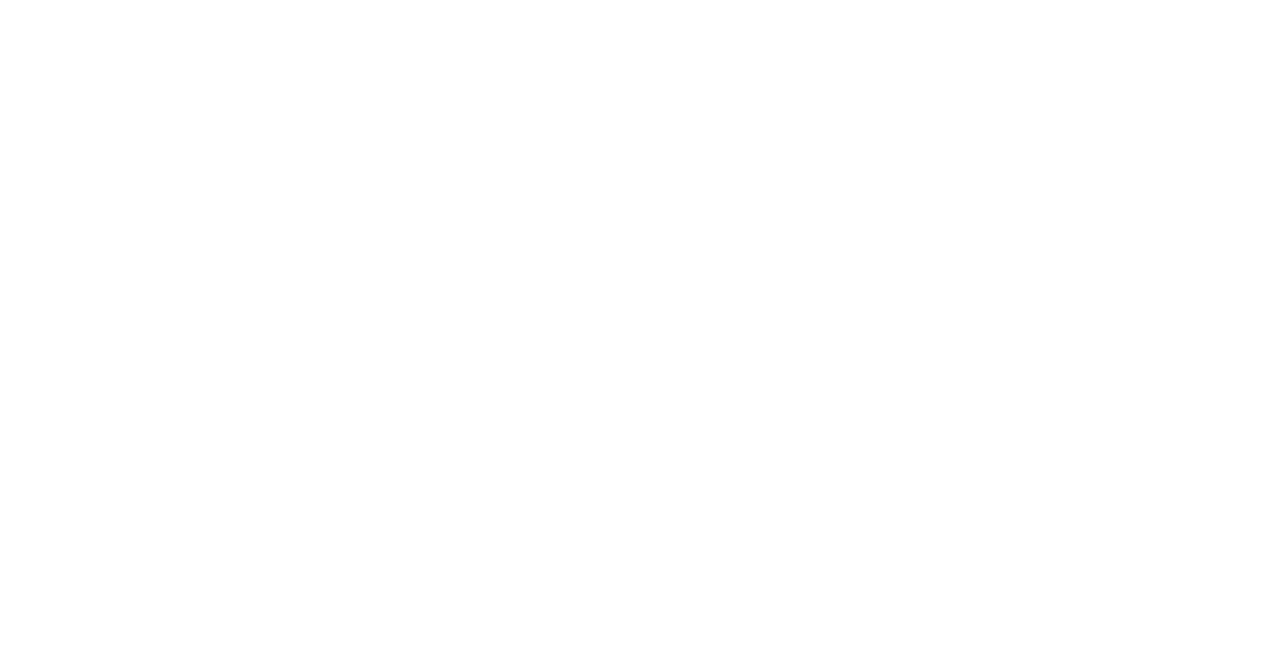 Partner logo 4