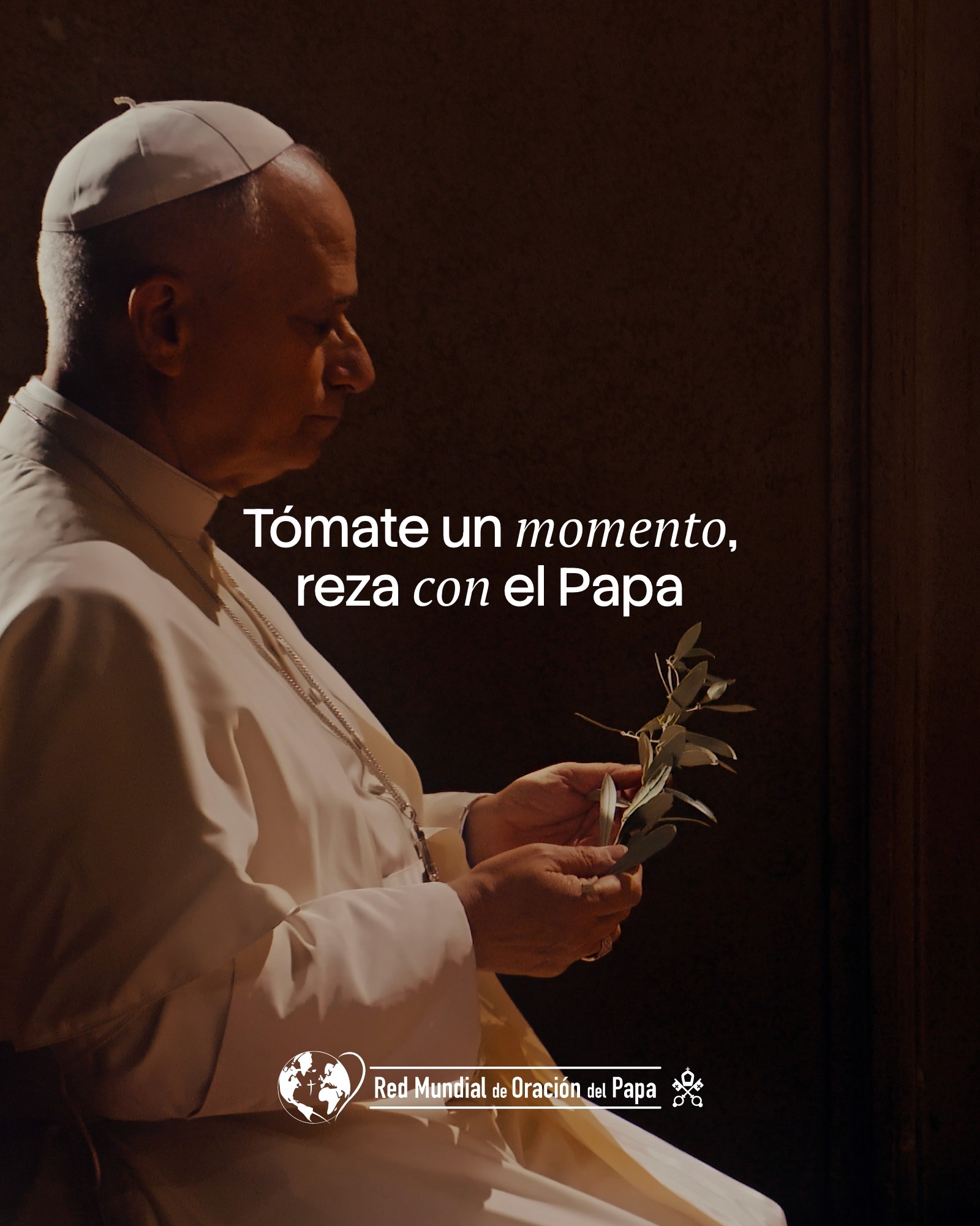 Imagen del papa León XIV orando con una rama de olivo en las manos y el lema 'Tómate un momento, reza con el Papa'