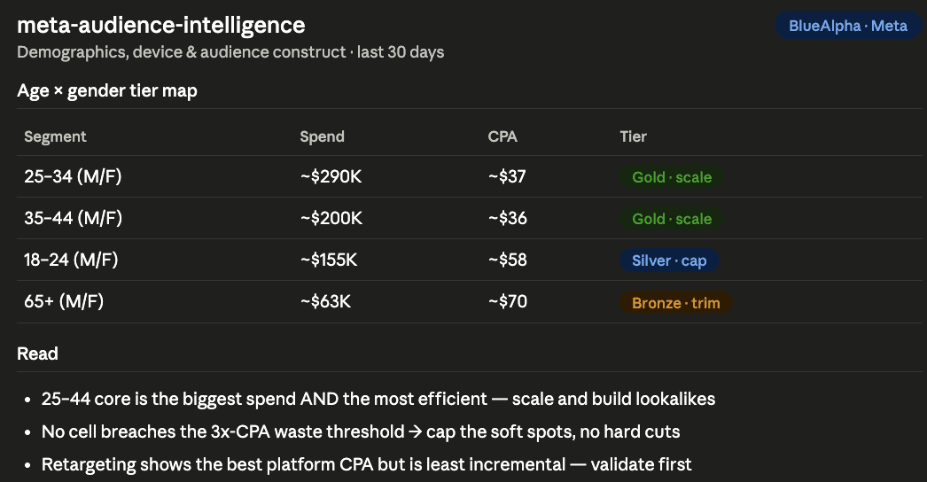 Meta MCP BlueAlpha - meta-audience-intelligence