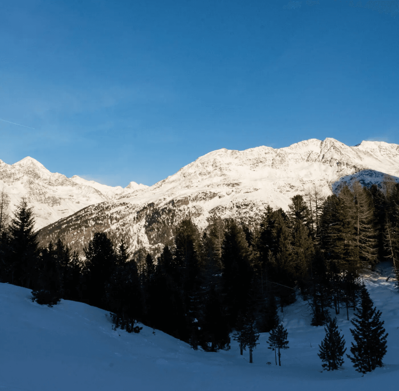 Ein Bild von den Ötztaler Bergen welche von der untergehenden Sonne beleuchtet werden. 