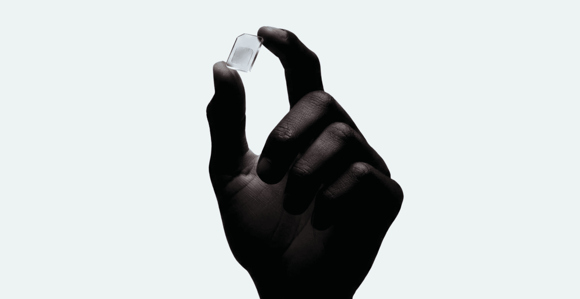 Shutterstock / Susan Salivan