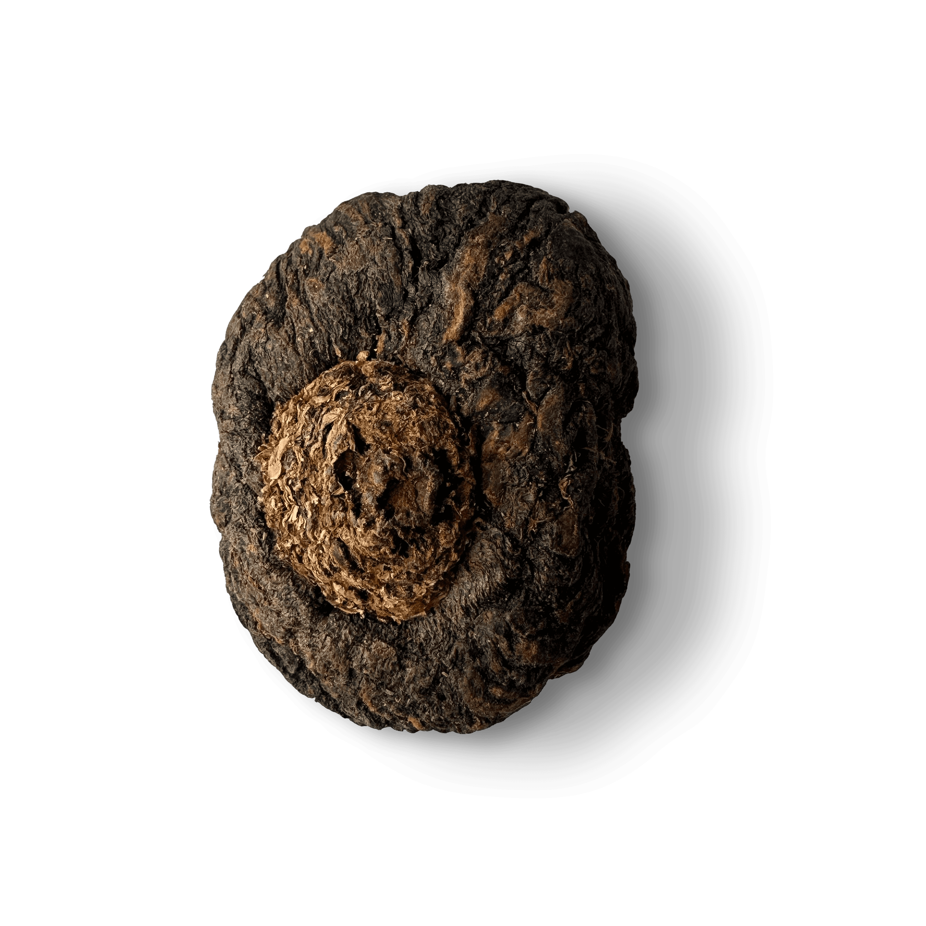 Black Maca root, raw and dried