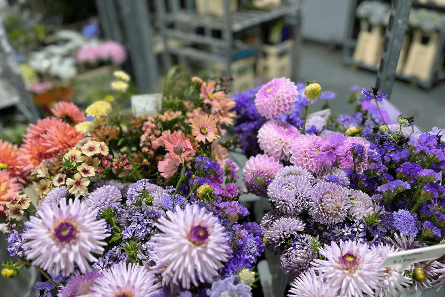 6. Wander the Columbia Road Flower Market (Sundays Only)