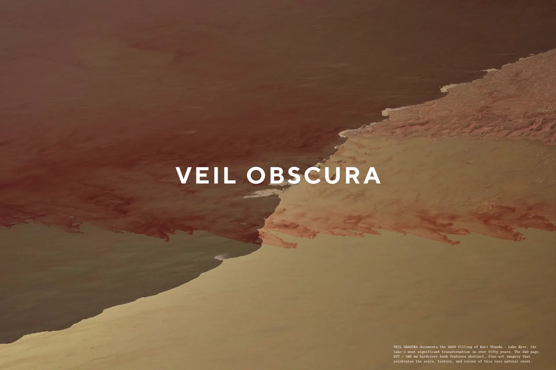 Screenshot of Veil Obscura website