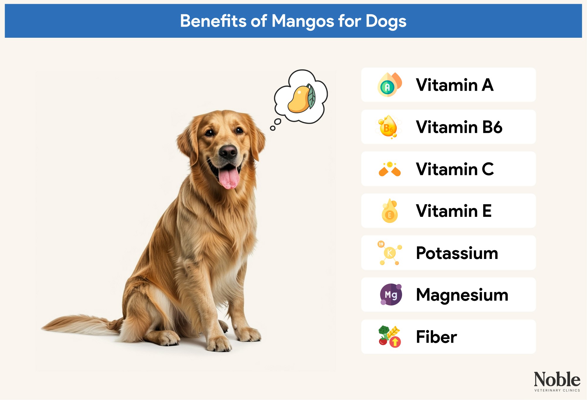 An infographic showing the benefits of mangos for dogs.