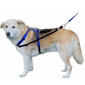 TTouch® Connector - Large