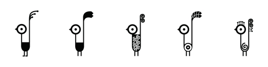 bird illustrations