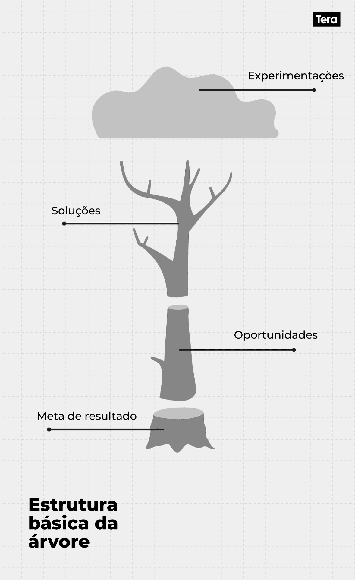 Árvore-de-Oportunidades-etapas