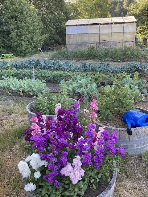 Thumbnail 44