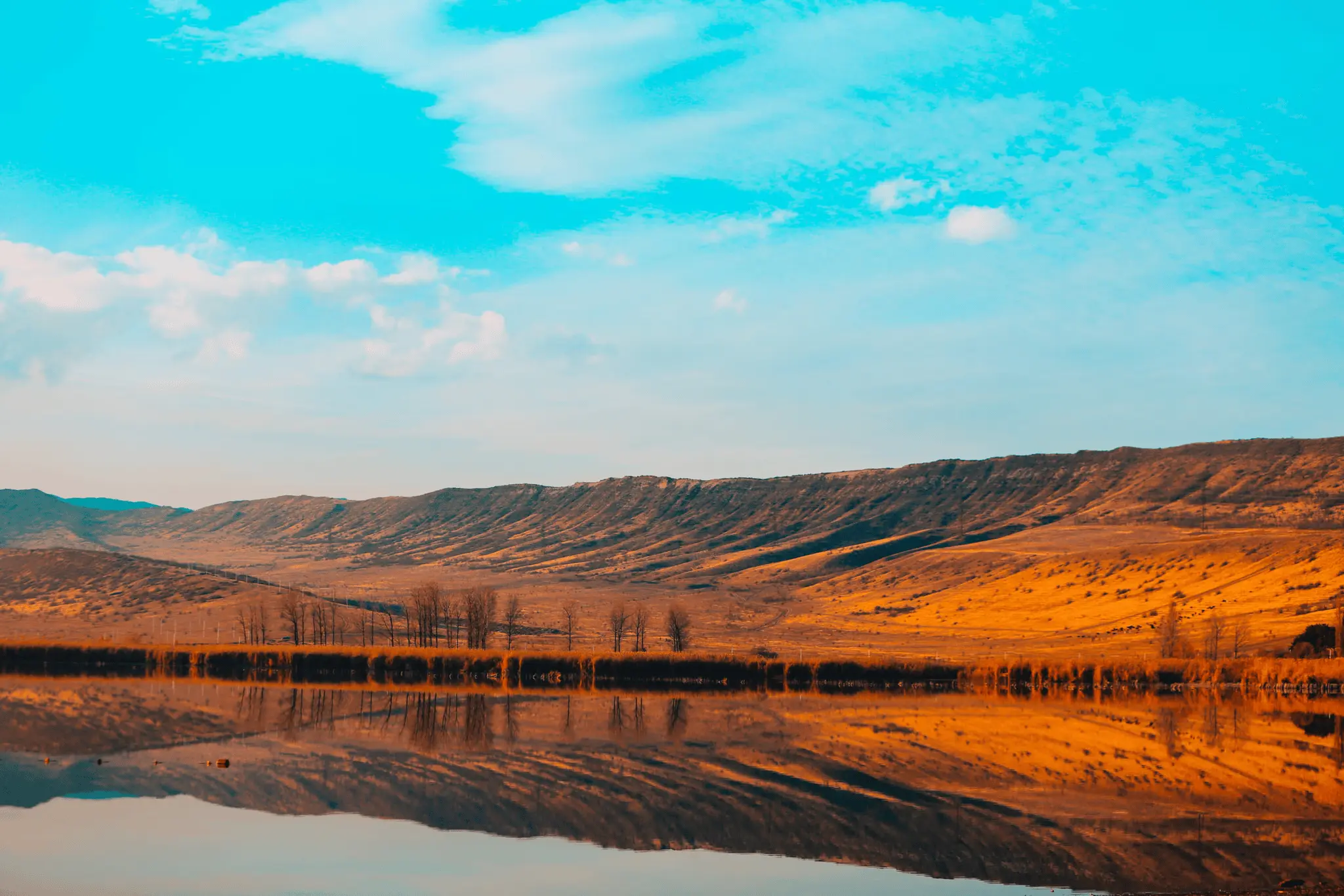 Golden hills reflect on a calm lake under a vivid blue sky.