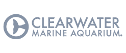 Clearwater Marine Aquarium logo