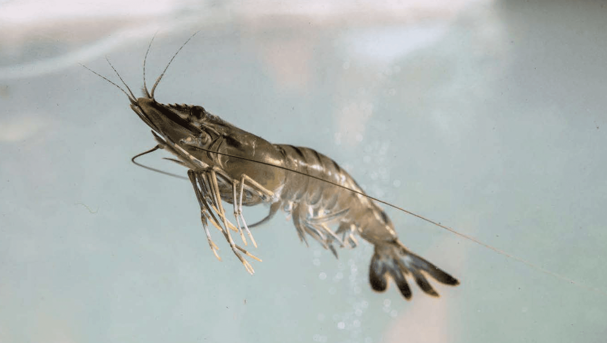 A hand holding a black pen, poised to write or draw on a surface.