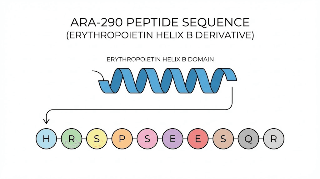ARA-290 cibinetide peptide molecular structure and amino acid sequence