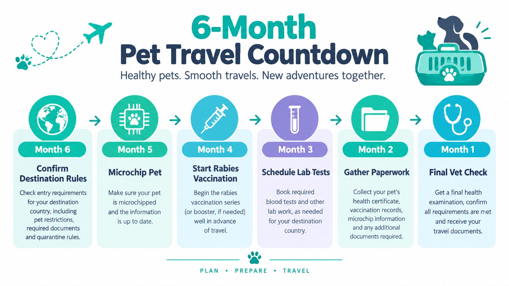 A 6-month infographic timeline guiding pet owners through essential preparation steps for international pet travel requirements.