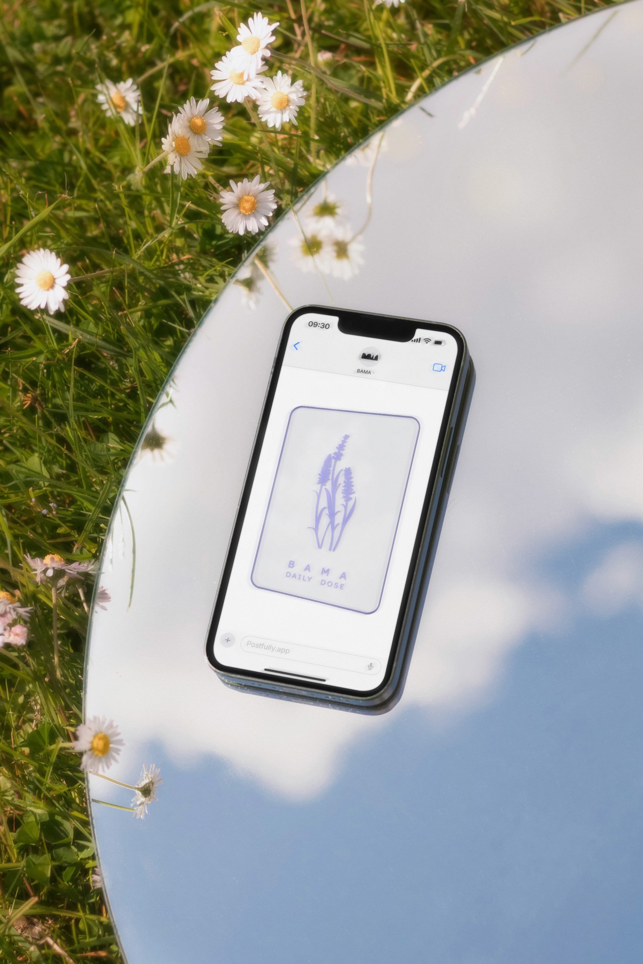 A black iPhone lies on a reflective, light blue/gray surface. The screen displays a light purple/lavender image with a stylized plant or flower graphic. White daisies are scattered around the phone and on the surface. The phone’s screen shows “BAMA DAILY DOSE” at the top. The reflection of the sky is visible on the surface.