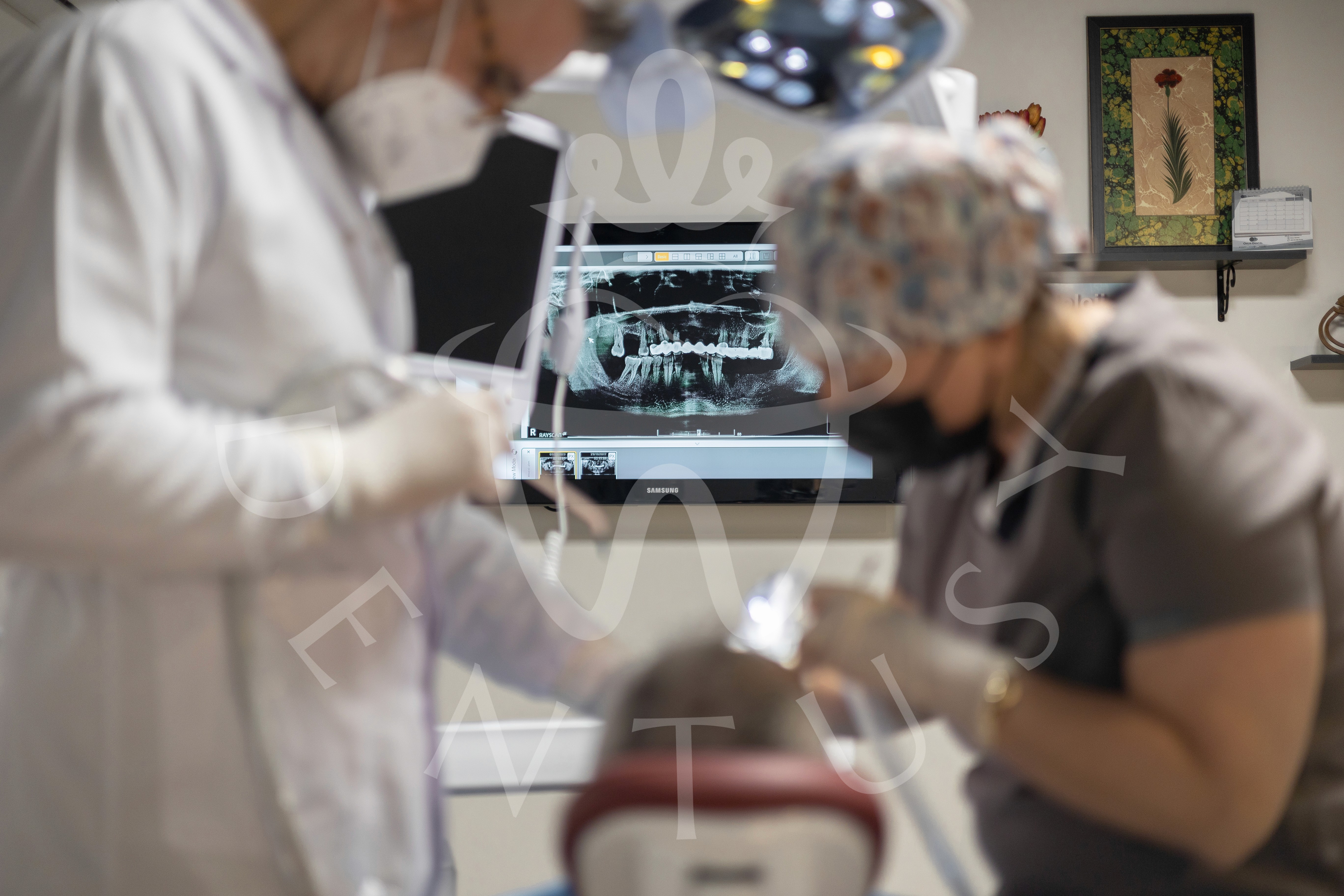 Here comes the alt text