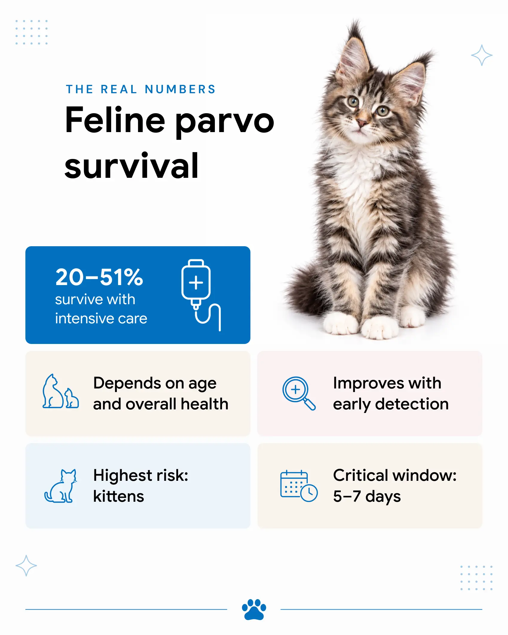 An infographic showing quick facts on the survival rate of feline parvovirus.