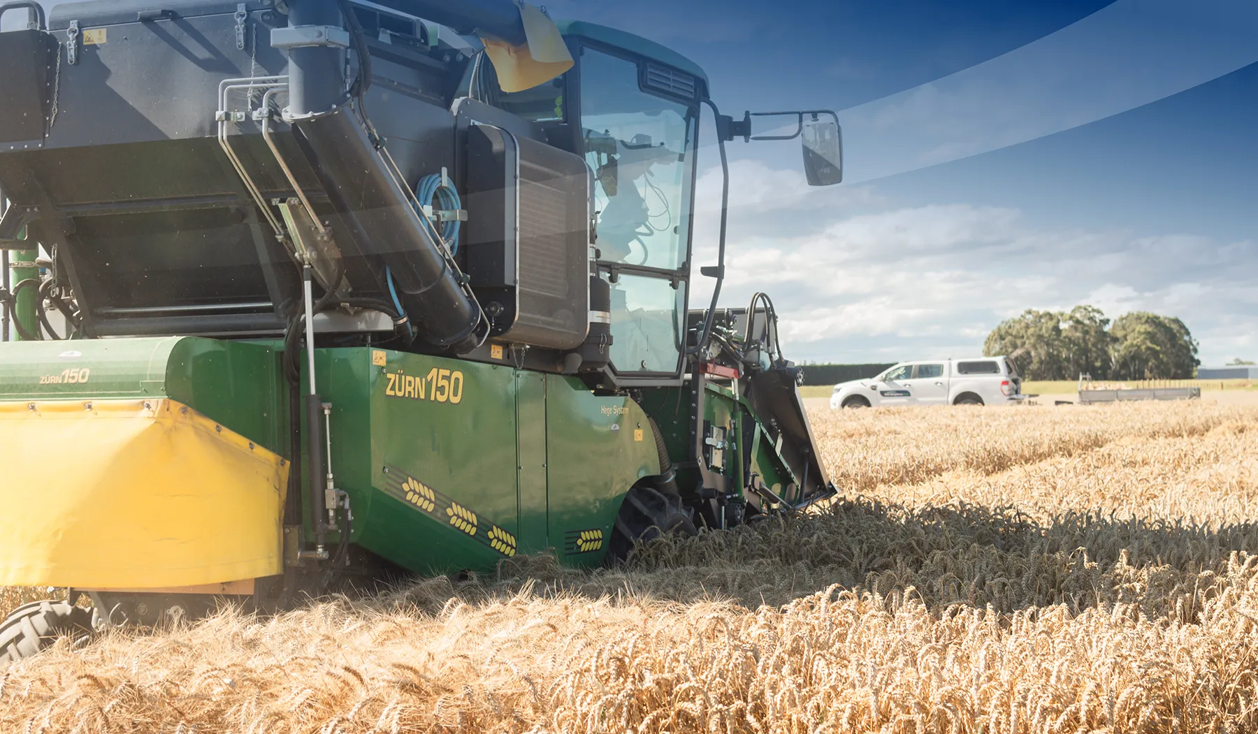 Harvest time Cereal Seeds