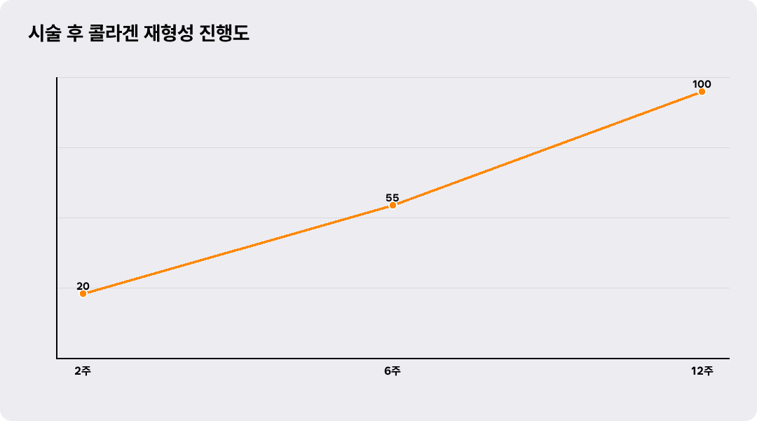 시술 후 콜라겐 재형성 진행도