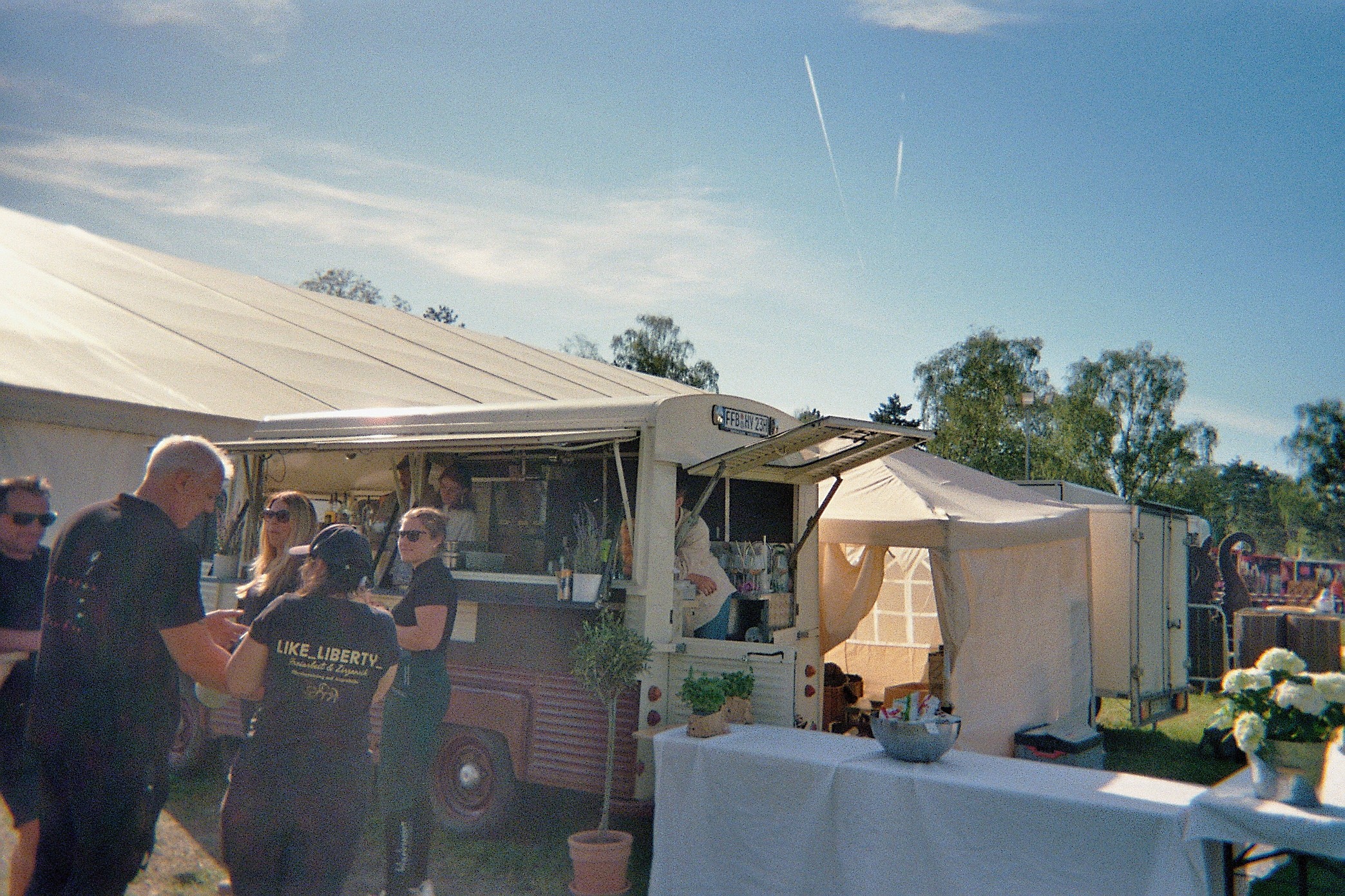 woman in white floral dress holding green plant