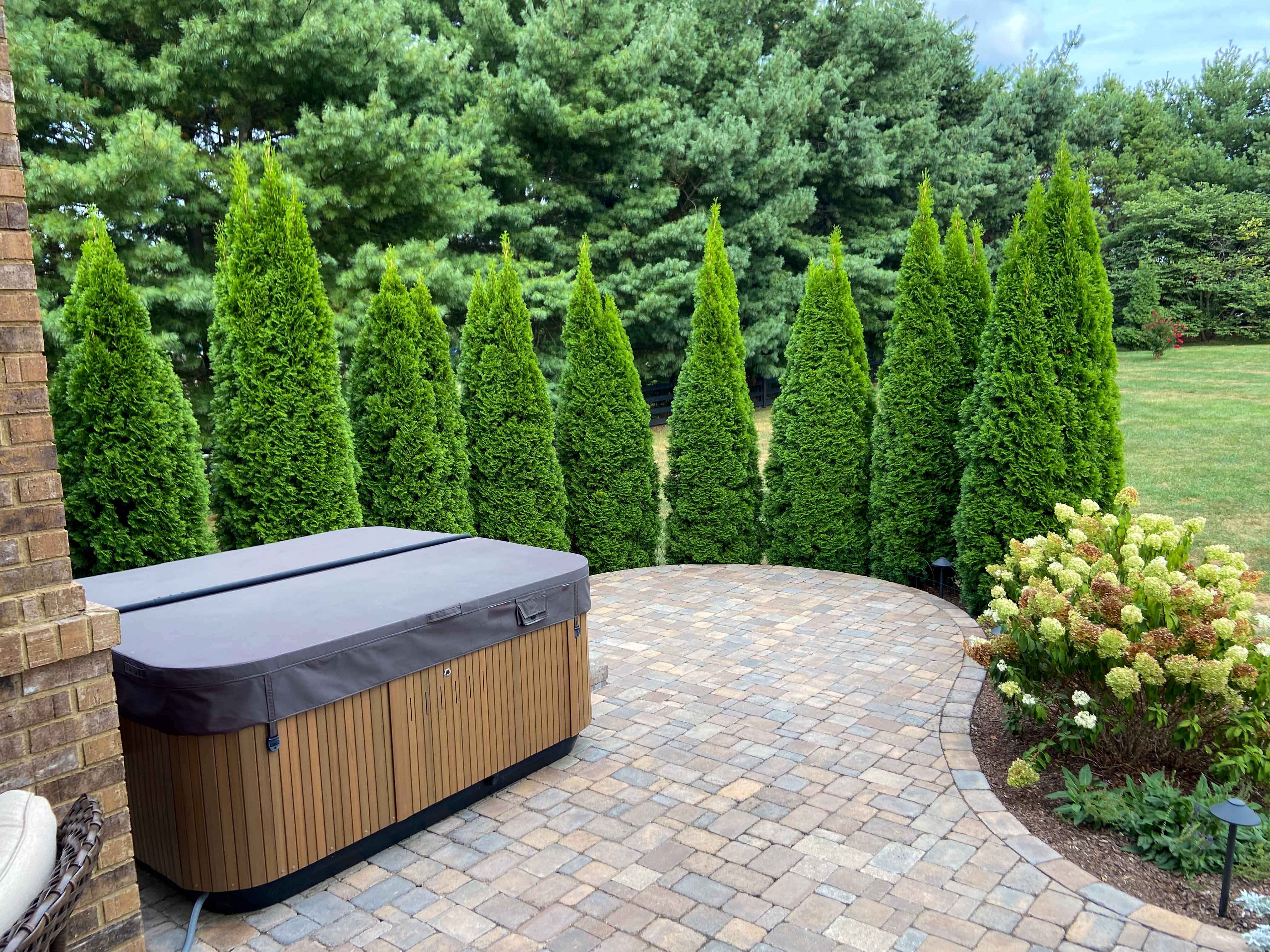 hottop with privacy landscaping