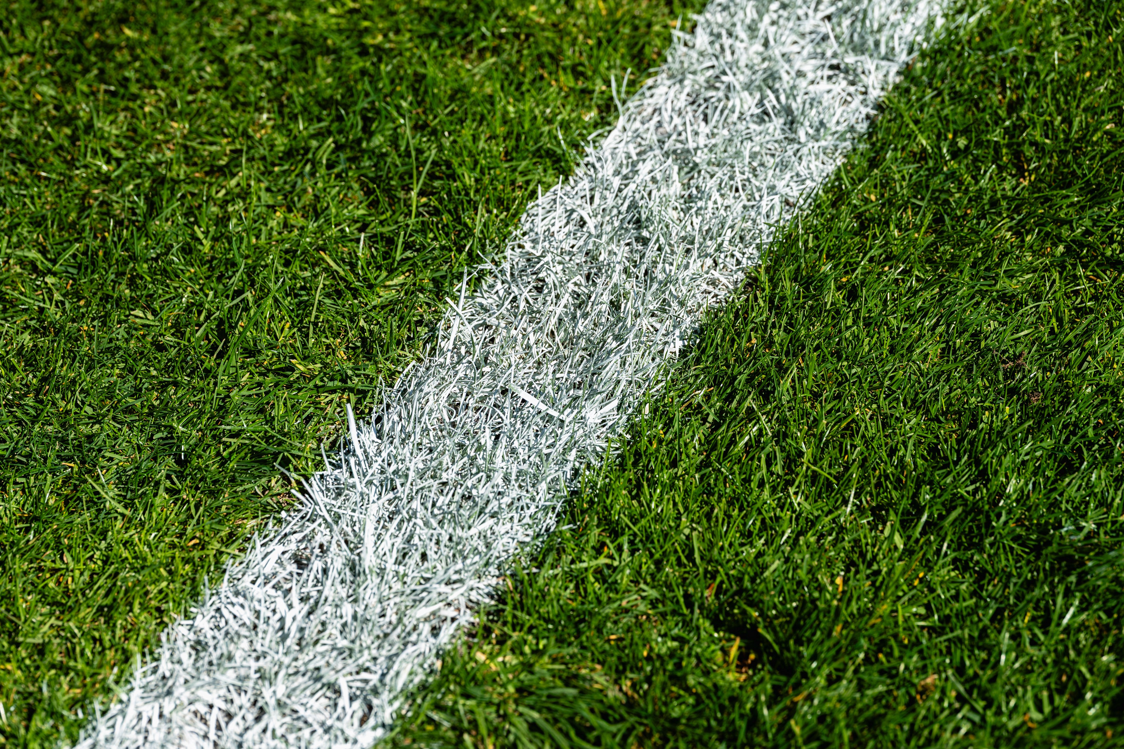 Selectline Detail van een verse witte veldlijn op groen gras