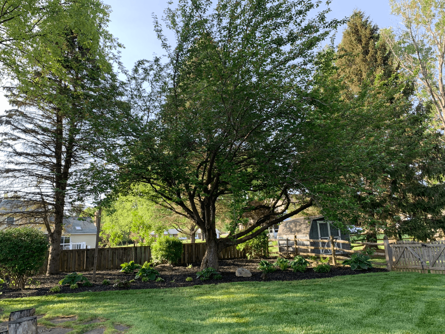 Nicely landscaped lawn in Carroll County