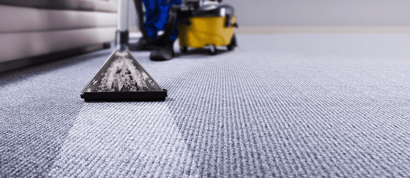 A vacum cleaning a carpet