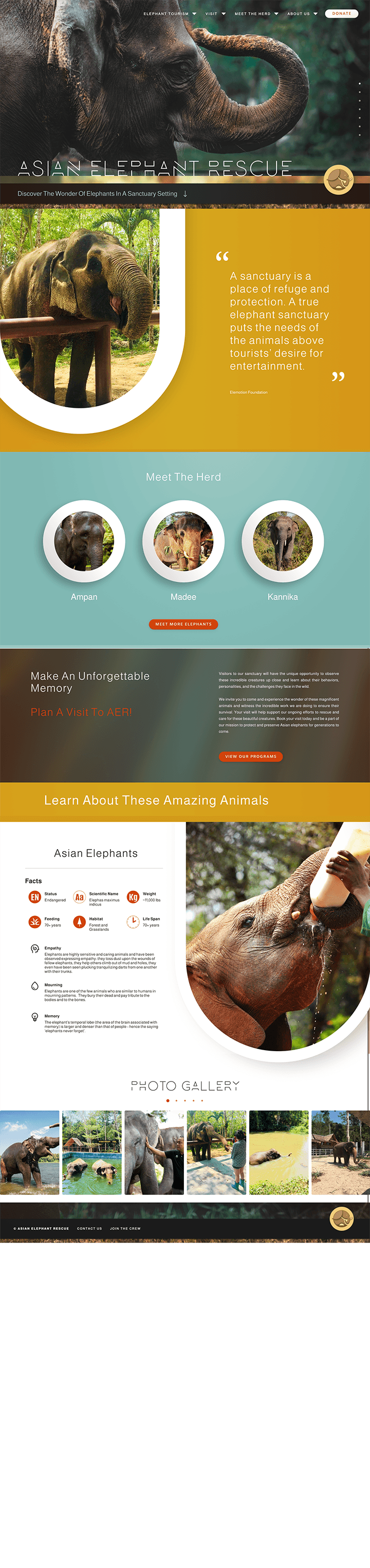 Contents of the 'Home' page: a hero image of an elephant with a raised trunk, a bold quote, links to elephant bios, and fun facts about elephants.