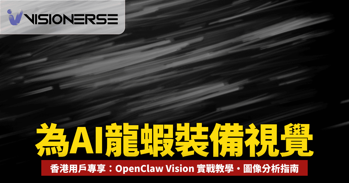 Vision 模型應用實戰教學