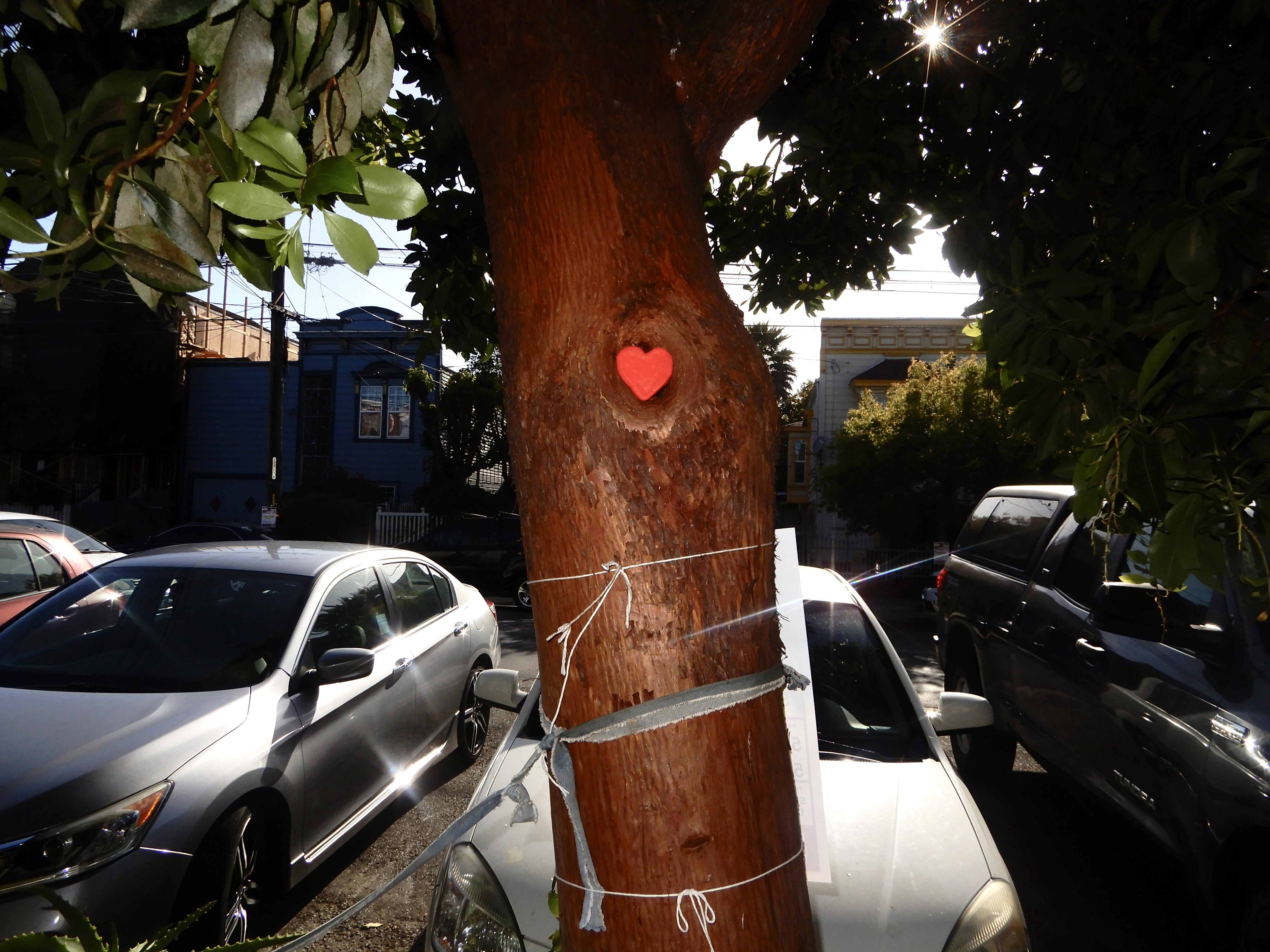 The image featured at the top of the about us page #2