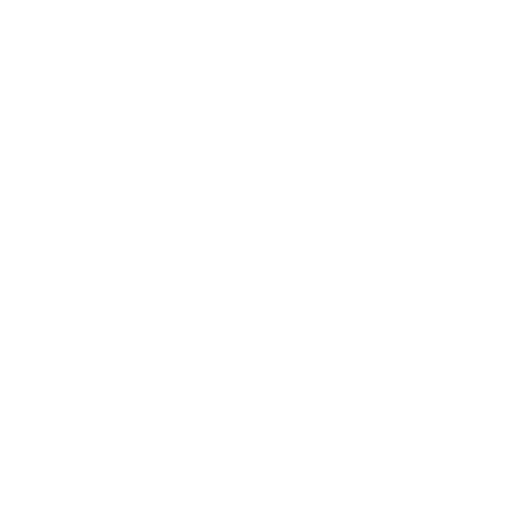 The Vitruvian Man  by Leonardo DaVinci