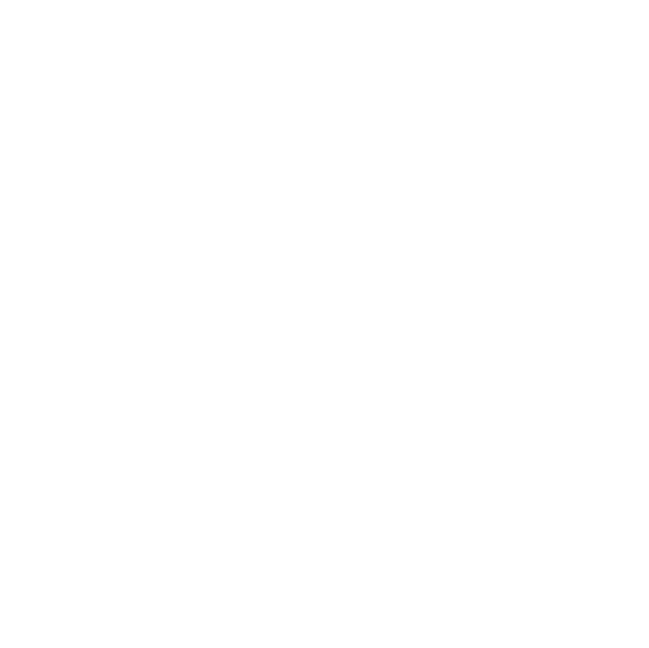 The Vitruvian Man  by Leonardo DaVinci