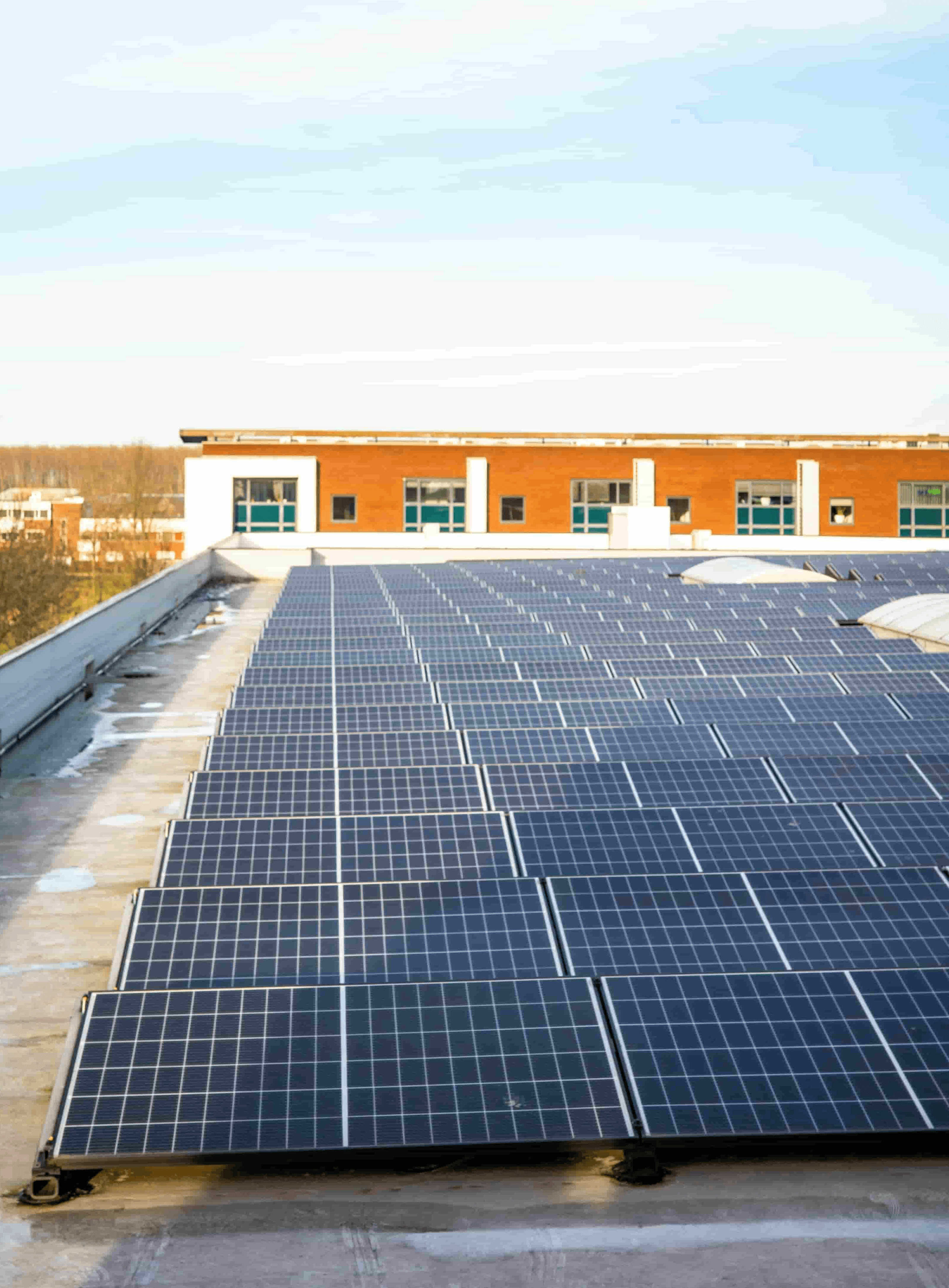 Eine PV-Anlage, bei der eine Drohnen-Inspektion durchgeführt wird von DER SOLARWART.