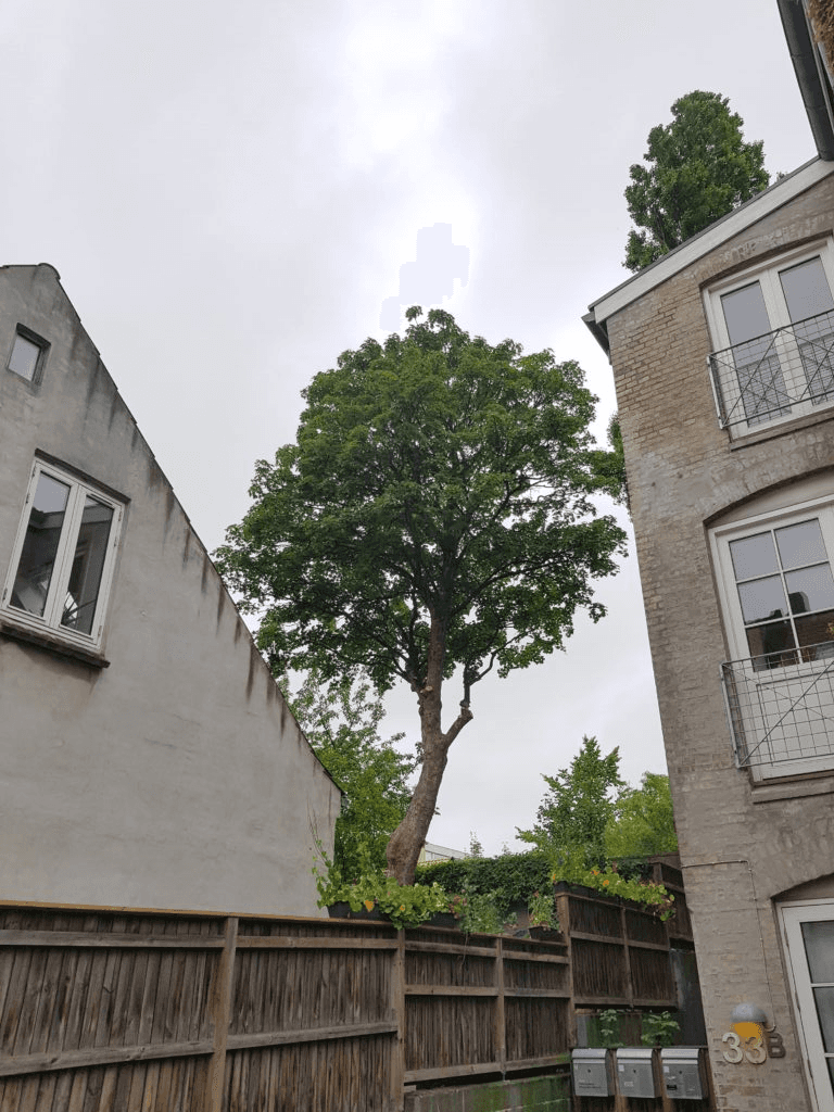 Close-up of a sleek dark green SUV with modern design elements, illuminated against a dark green background.