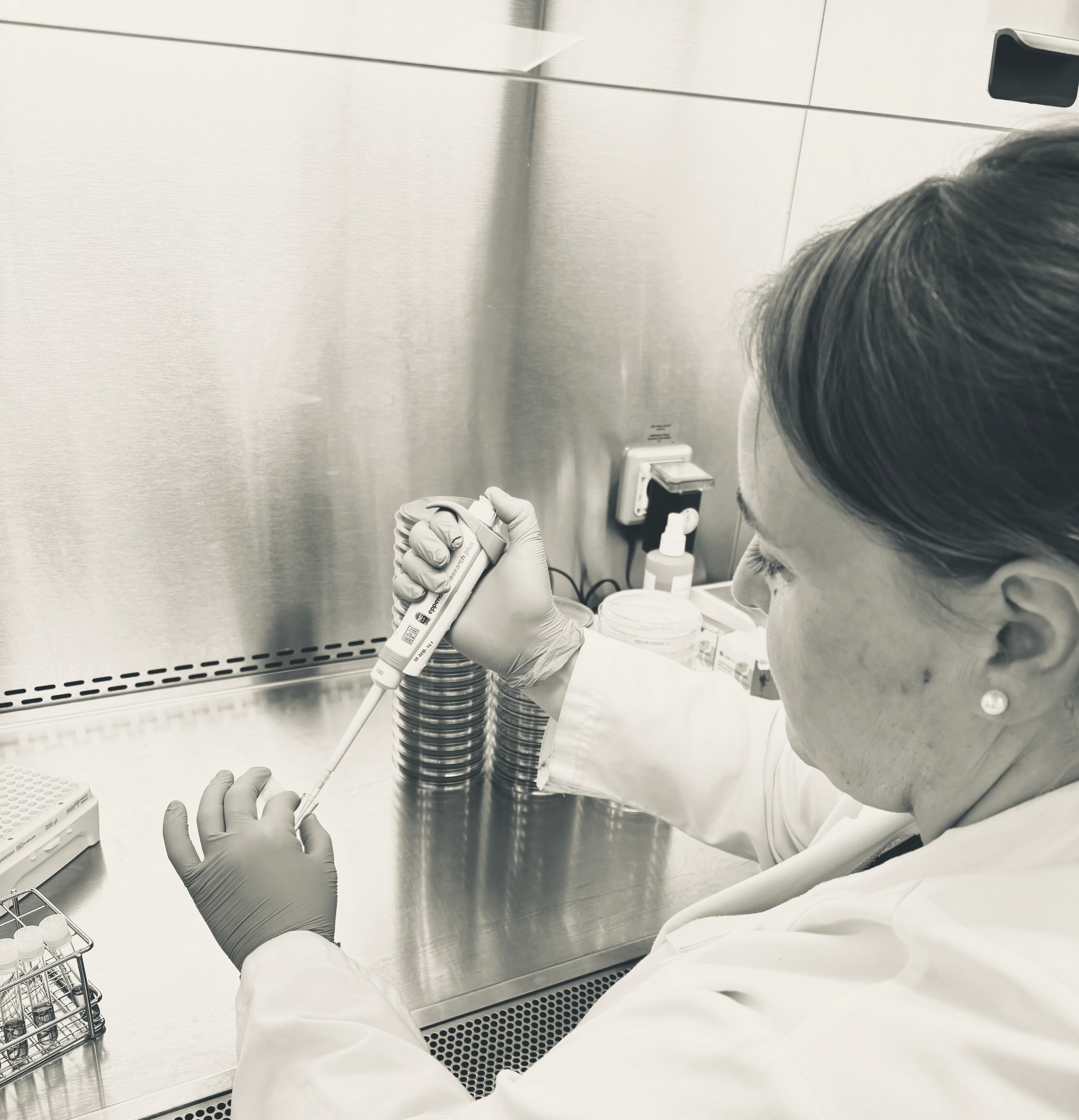 A cozy scene with warm sunlight casting stripes, featuring a potted plant and soft towels on a window sill.