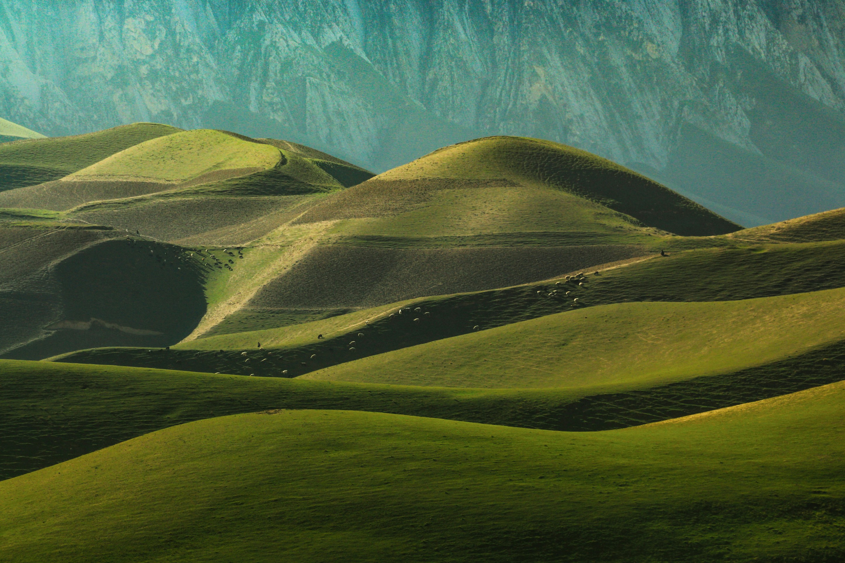 a group of hills that are covered in grass