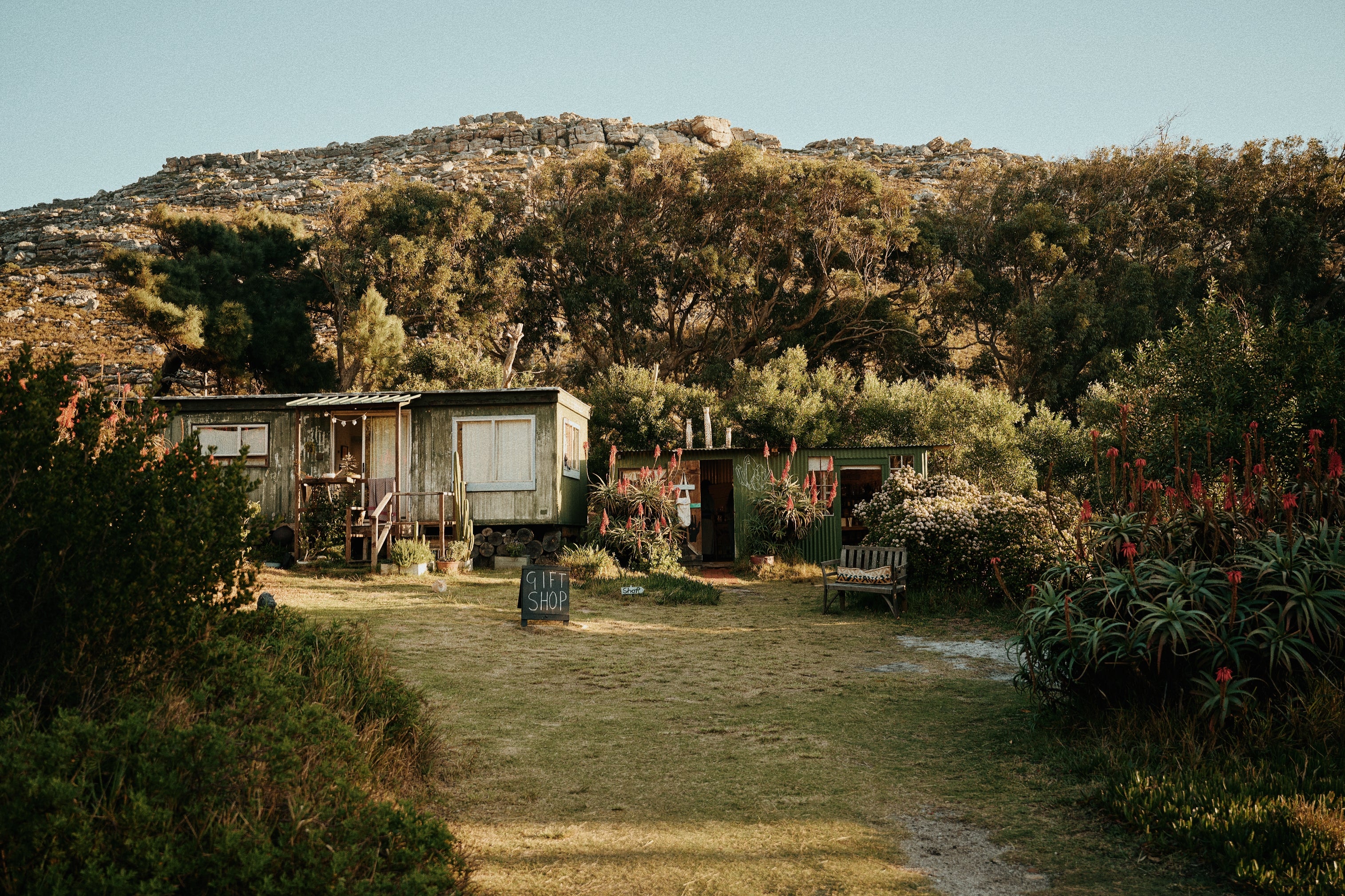 Design Safaris: Bridget Lilley