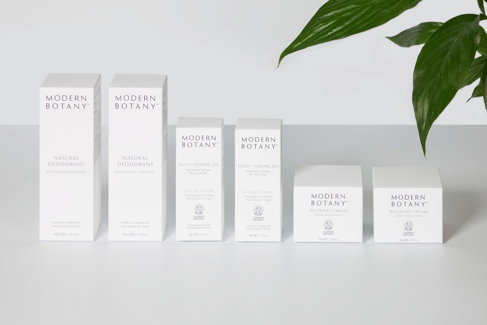 Modern Botany cartons