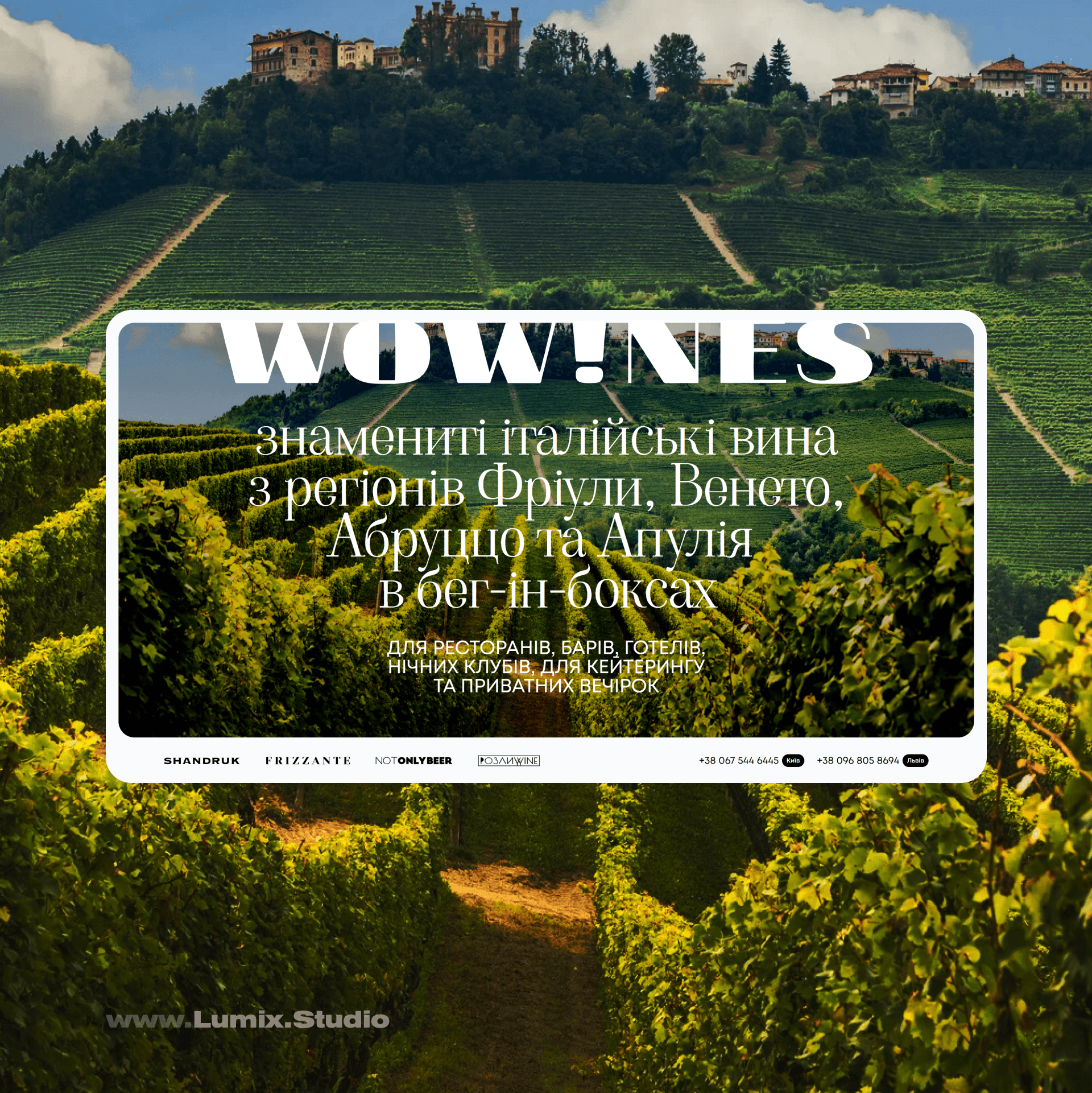 Перший екран лендінгу Wowines з елегантною подачею винного бренду