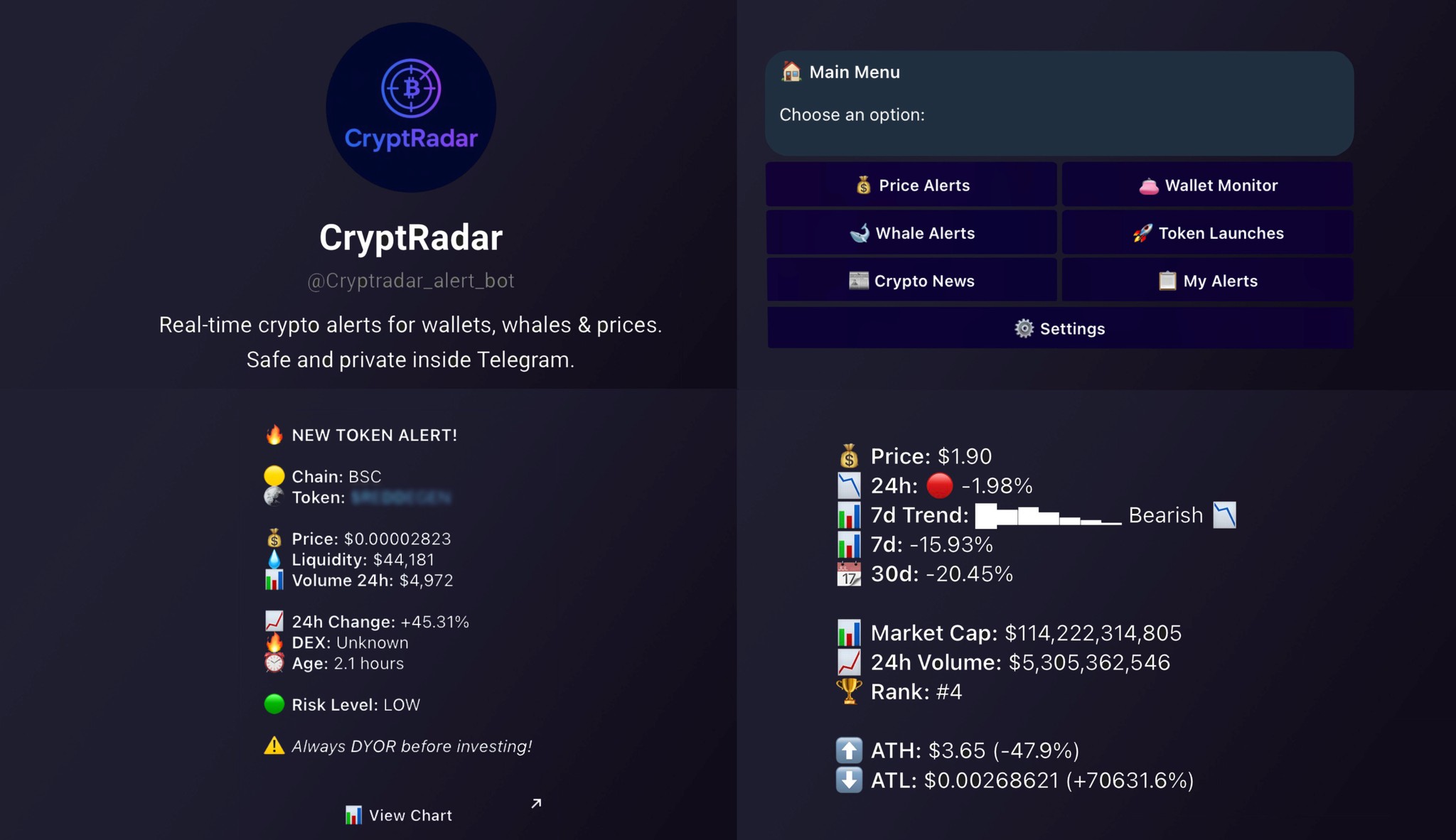 CryptRadar Bot Interface