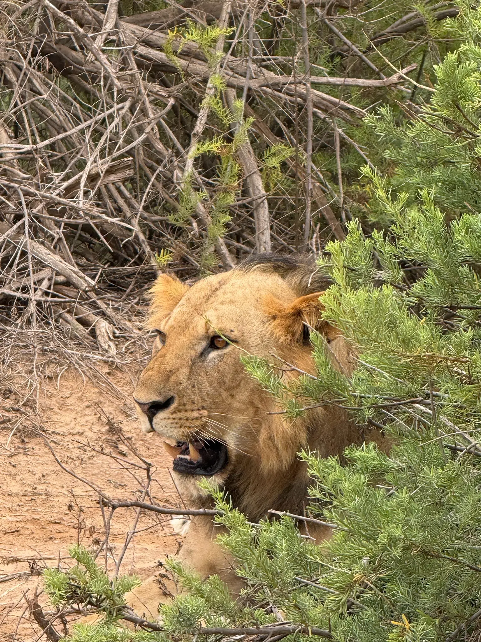 Usahili Tour in Kenya