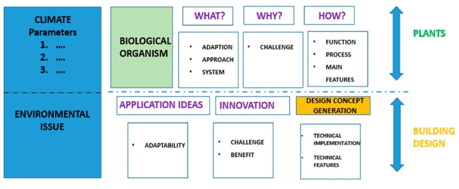 Figure 1. Role of biomimetics in bringing new concepts from nature to architecture. Design concept generation Lopez et al. 2017.