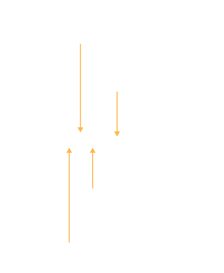 Ranks are made up of 4 values