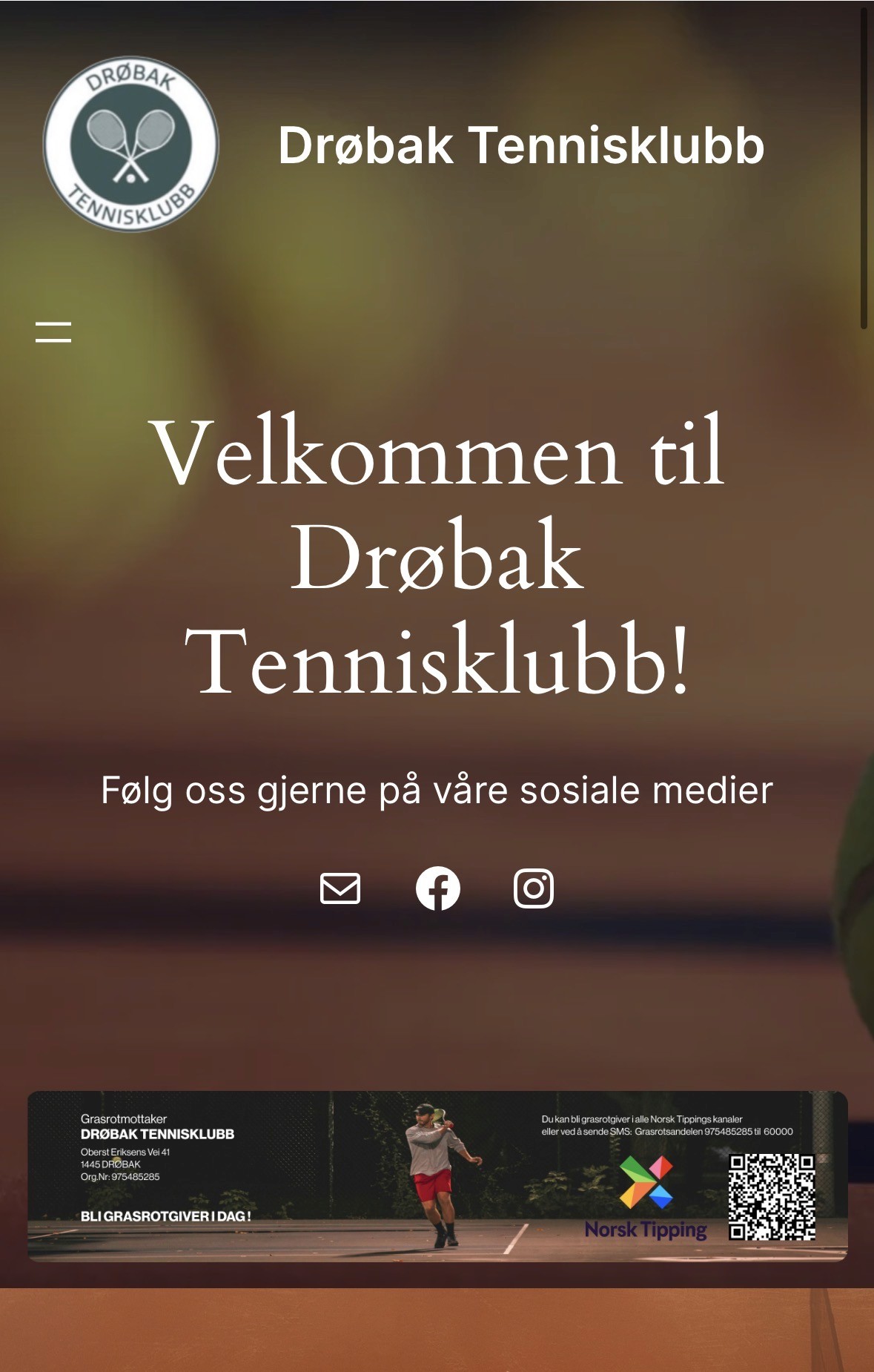 Close-up of a dark green leaf showing its textured surface and central vein against a muted background.