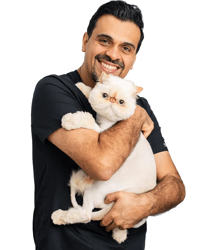 Dr. Soheyl Simaei 