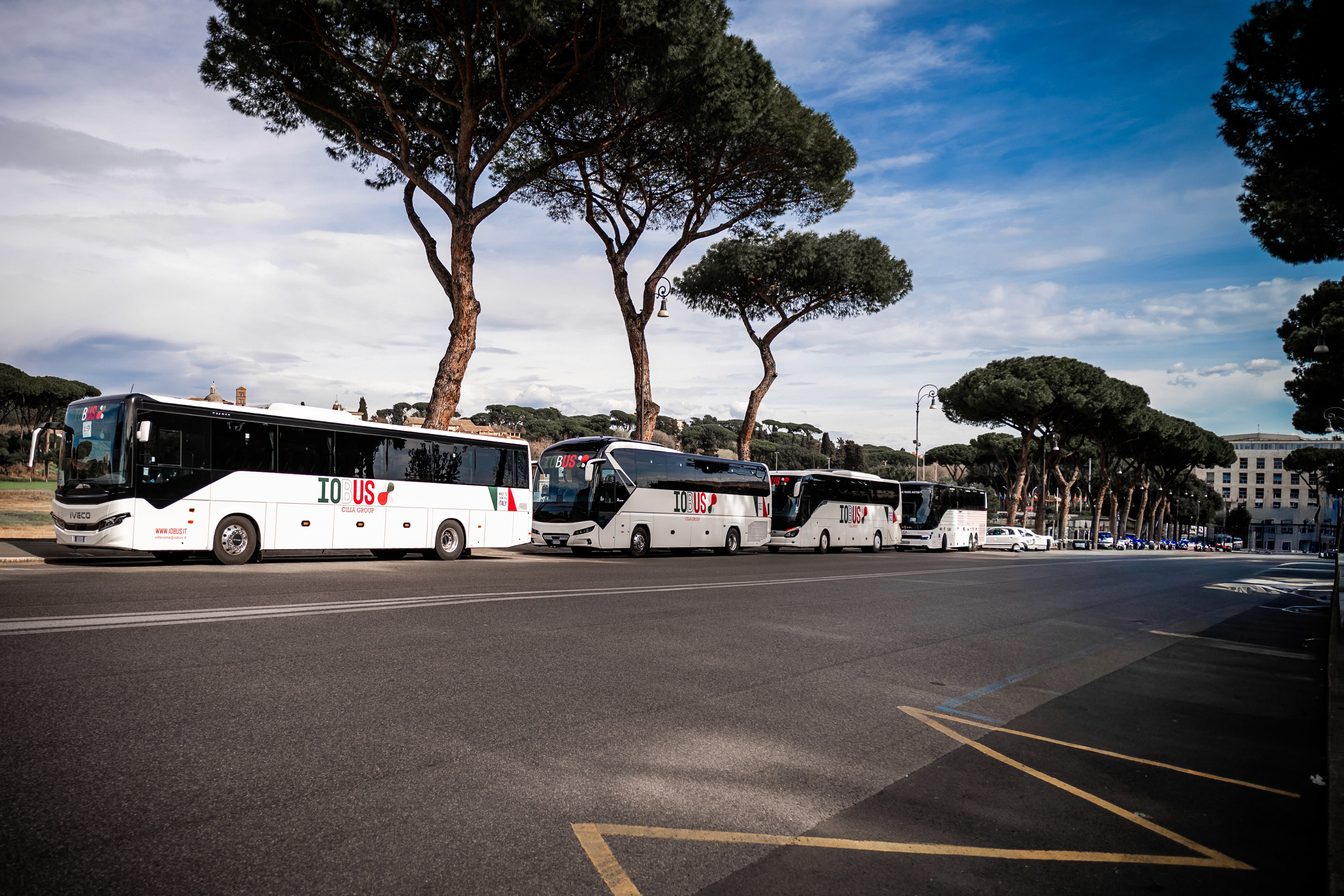train on bridge surrounded with trees at daytime