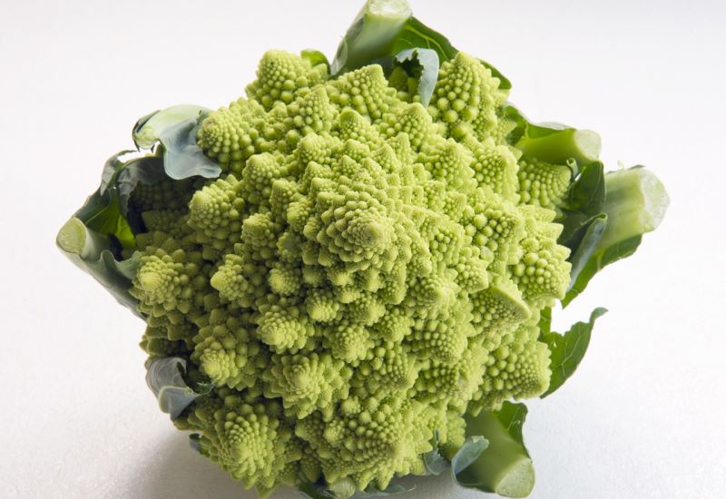 Broccolo romanesco
