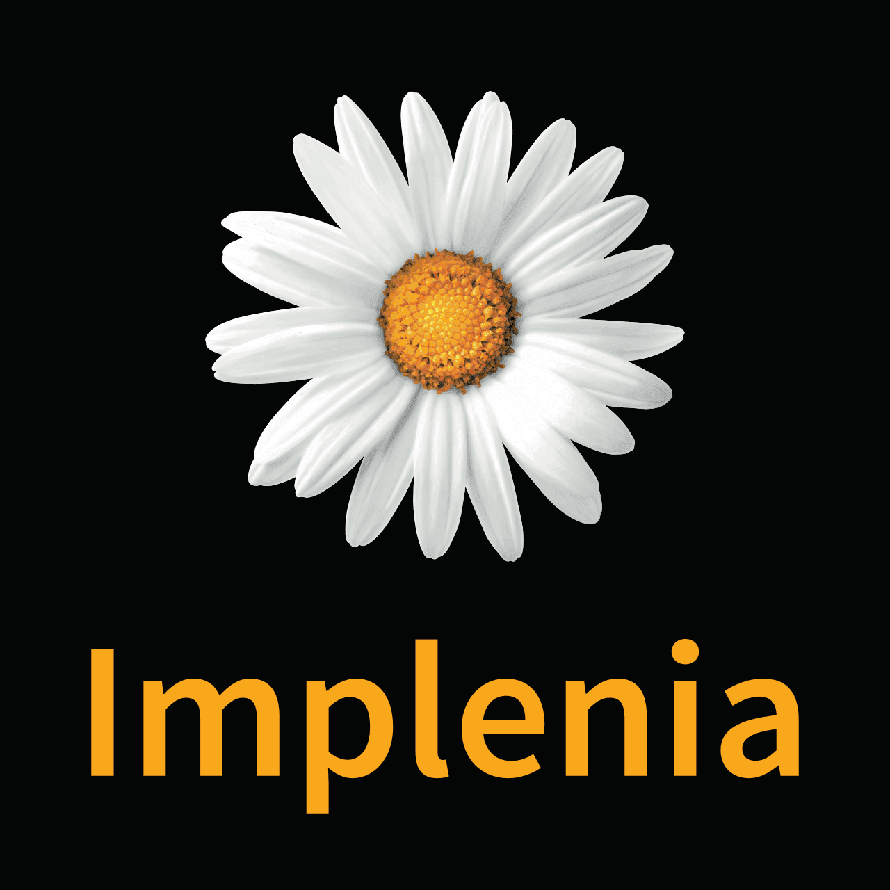 logo_implenia