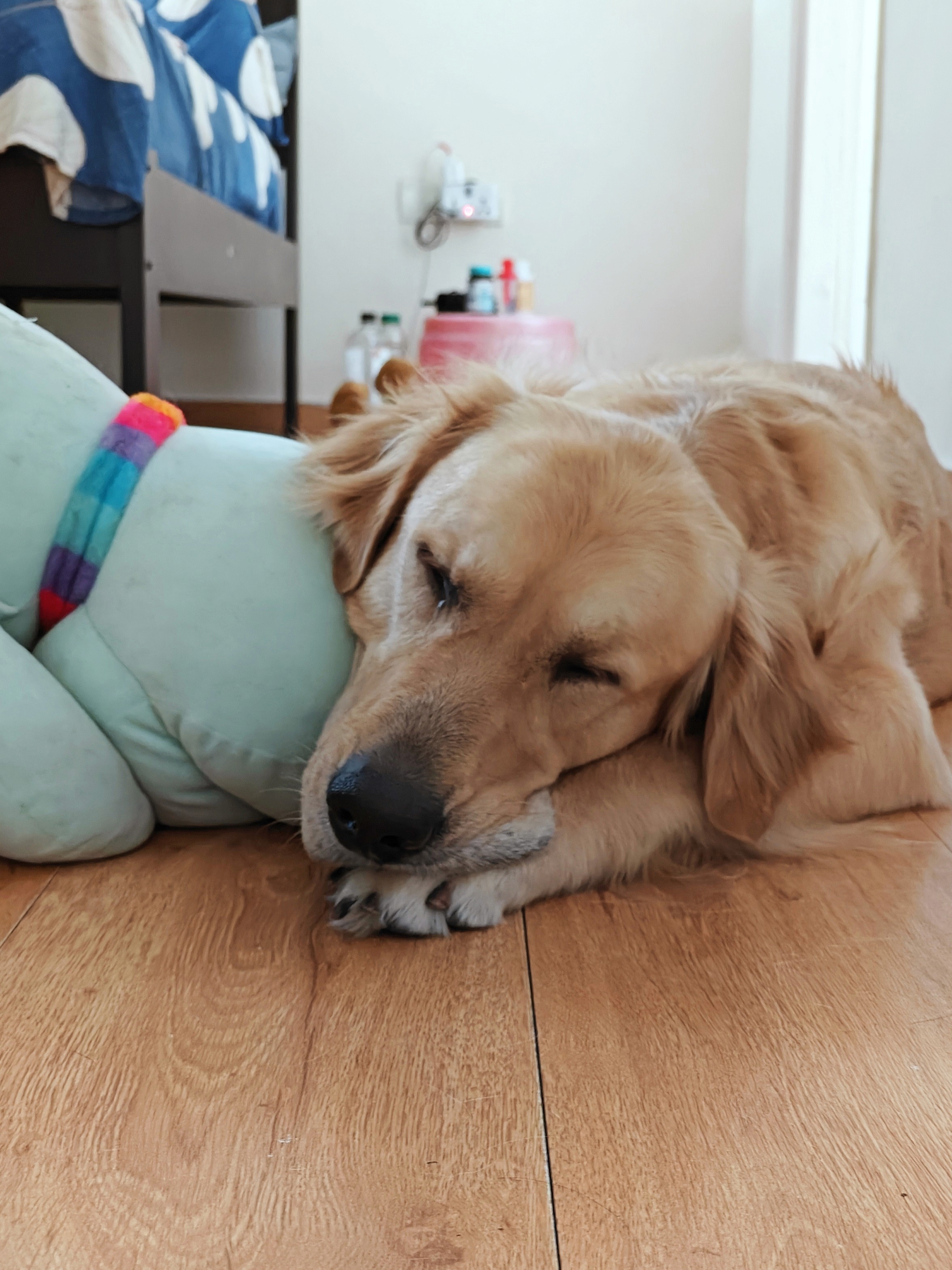 Making payments transparent and convenient for investors on Tyke